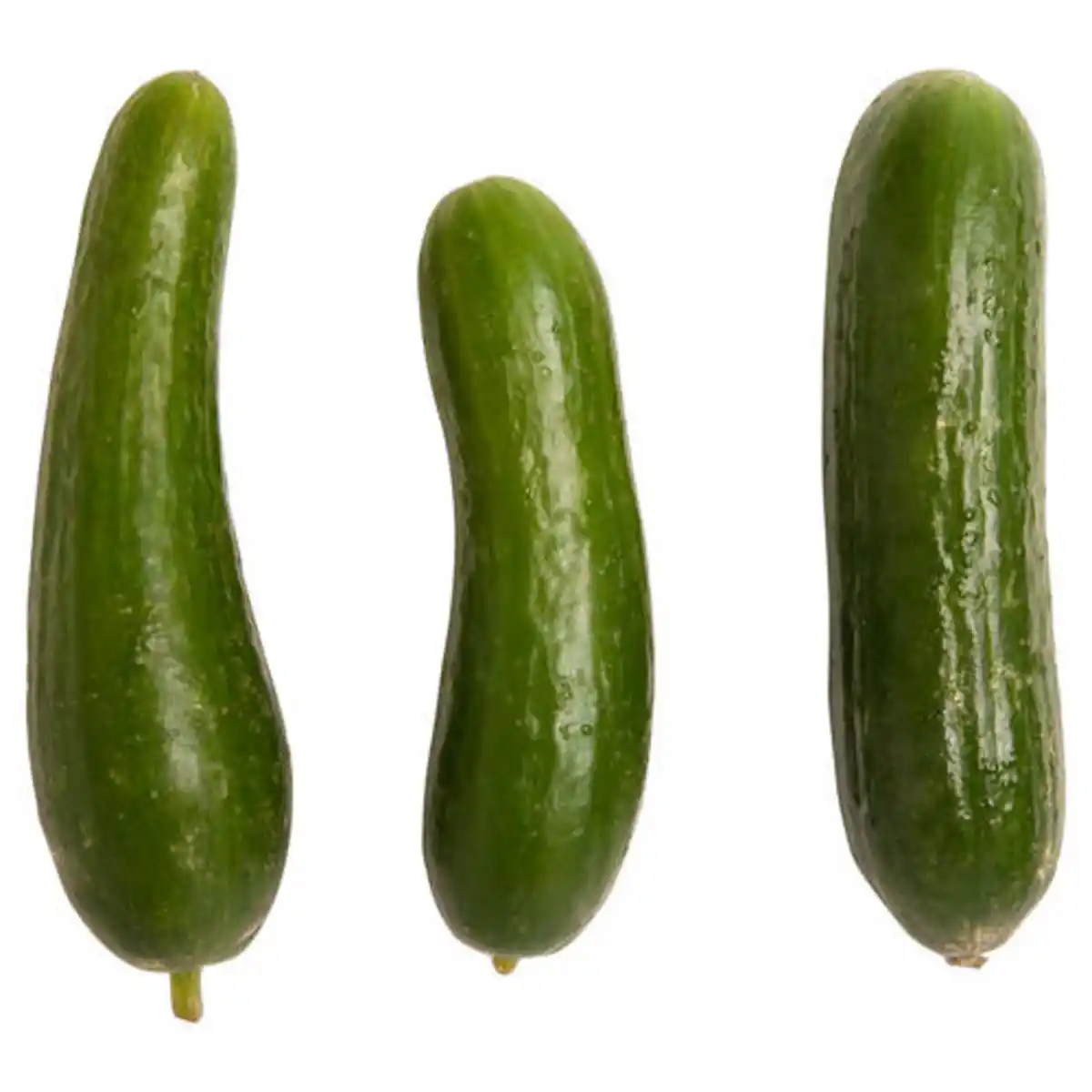 Bild 1 von BESTES AUS DER REGION Mini-Gurken 280 g