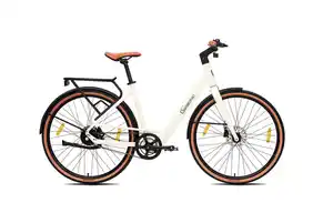 SachsenRAD Urban City E-Bike C3V  Roma