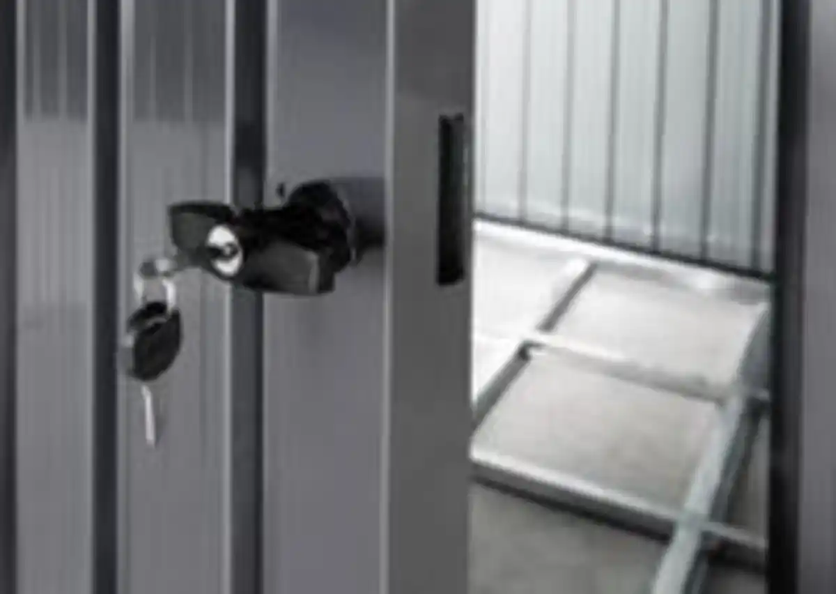 Bild 3 von Metallgerätehaus 5㎡ Skylight mit 7㎡ Carport-Erweiterung 2 in 1, ca. 245 x 204 x 226 cm