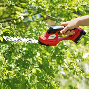 Walter Li-Ion Akku-Gras- und Strauchschere 12 V