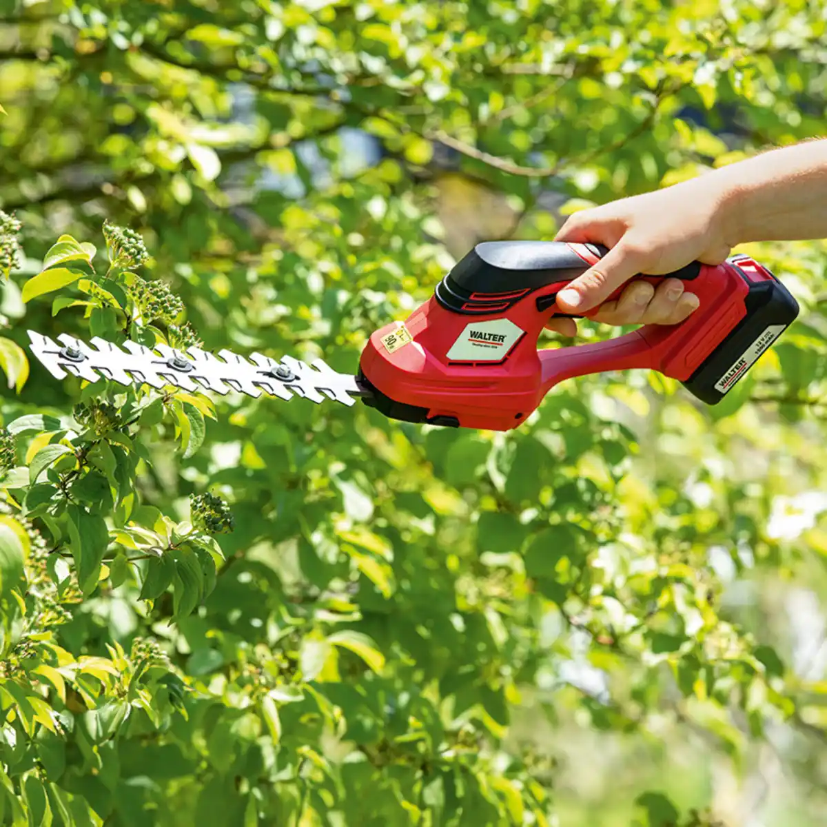Bild 1 von Walter Li-Ion Akku-Gras- und Strauchschere 12 V