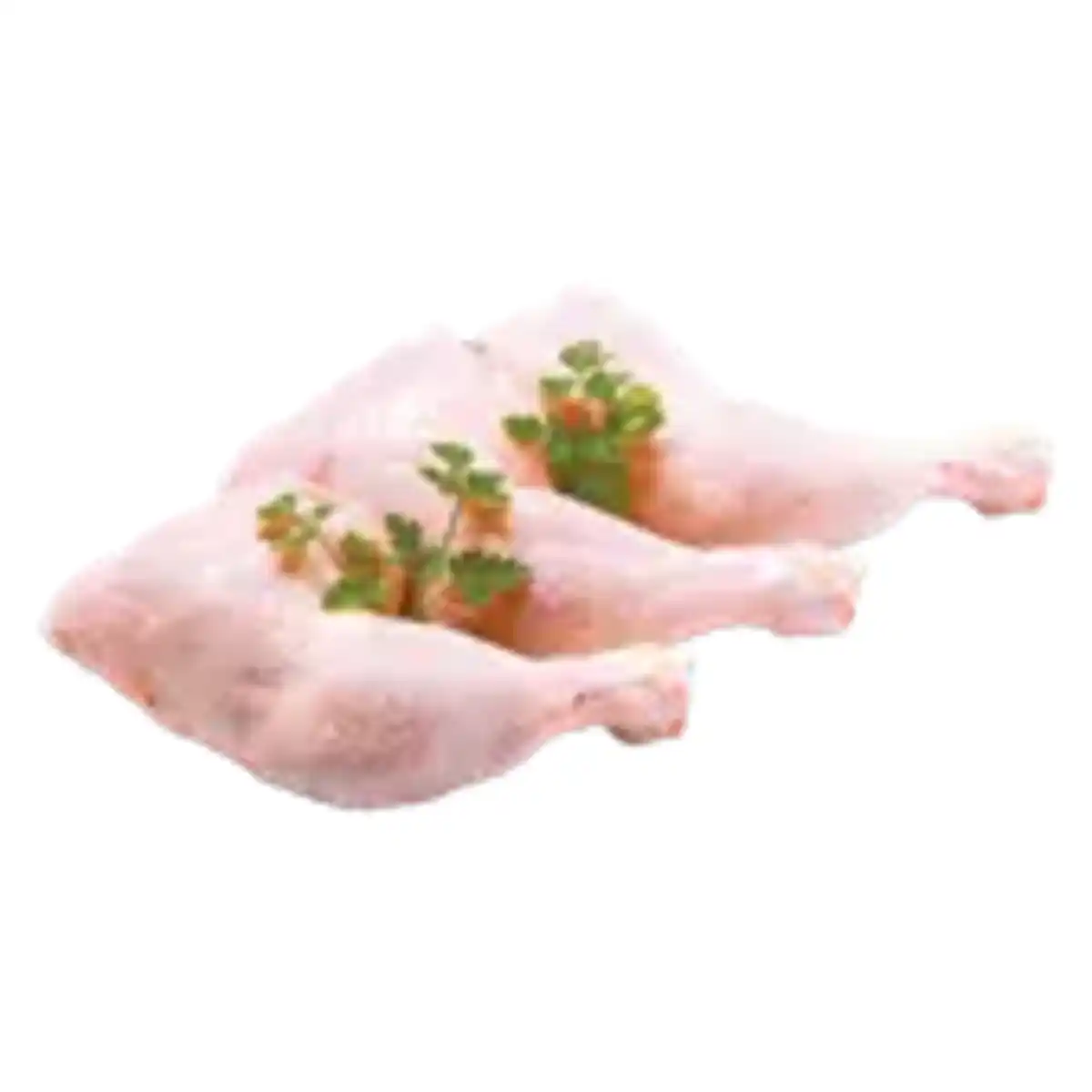 Bild 1 von Frische Hähnchenschenkel mit Rücken