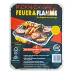 Picknick-Einweggrill