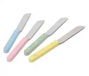 4 Frühstücksmesser