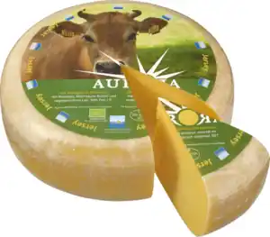 Gouda Jersey