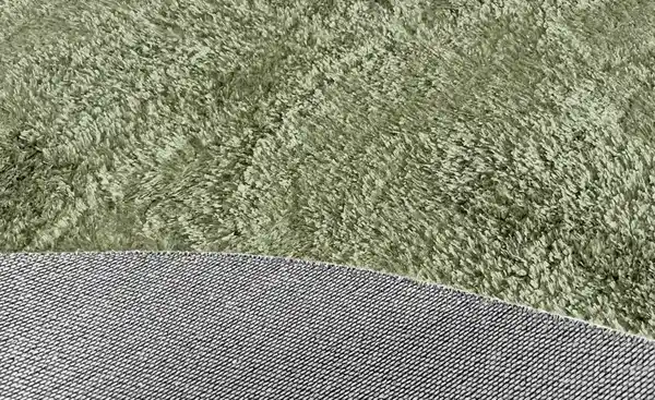 Bild 4 von como Shaggy