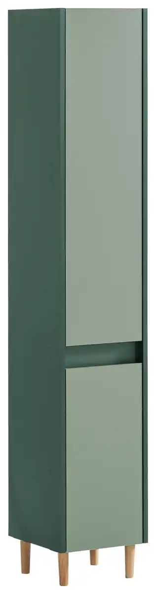 Bild 1 von Hochschrank Lovis Dunkelgrün