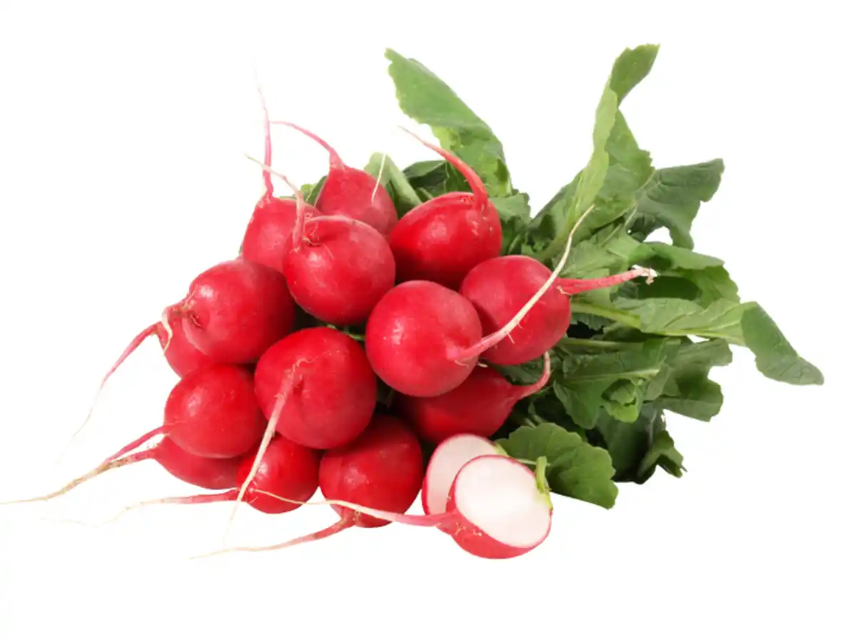 Bild 1 von Radieschen