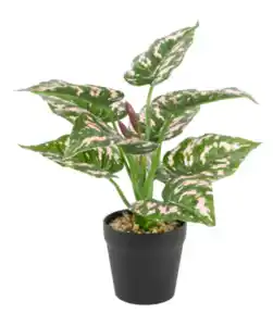 Kunstpflanze Monstera, pink