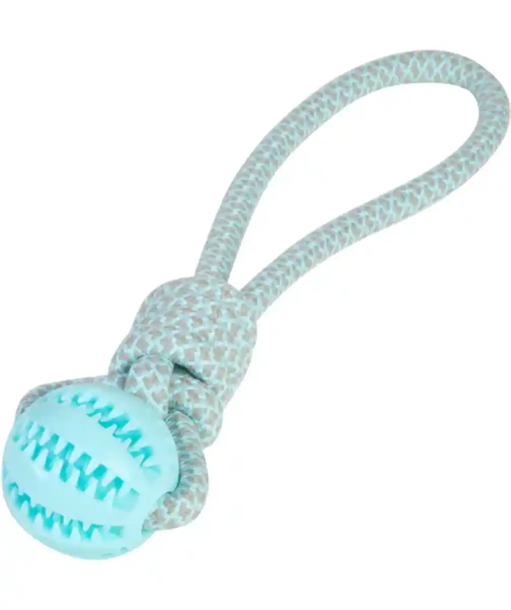 Bild 1 von Hundespielzeug, türkis