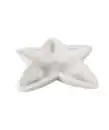 Bild 1 von Dekoschale Seestern, weiß