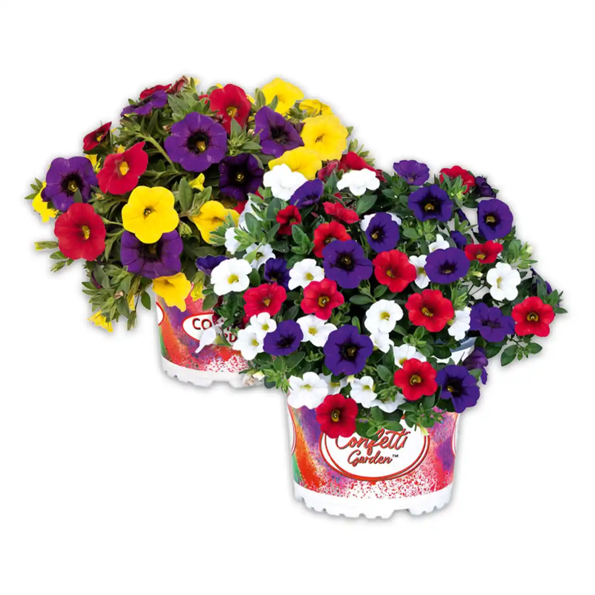 Bild 1 von Confetti Garden Trio Mix