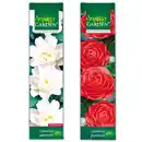 Bild 1 von Finest Garden Blühende Gartenraritäten