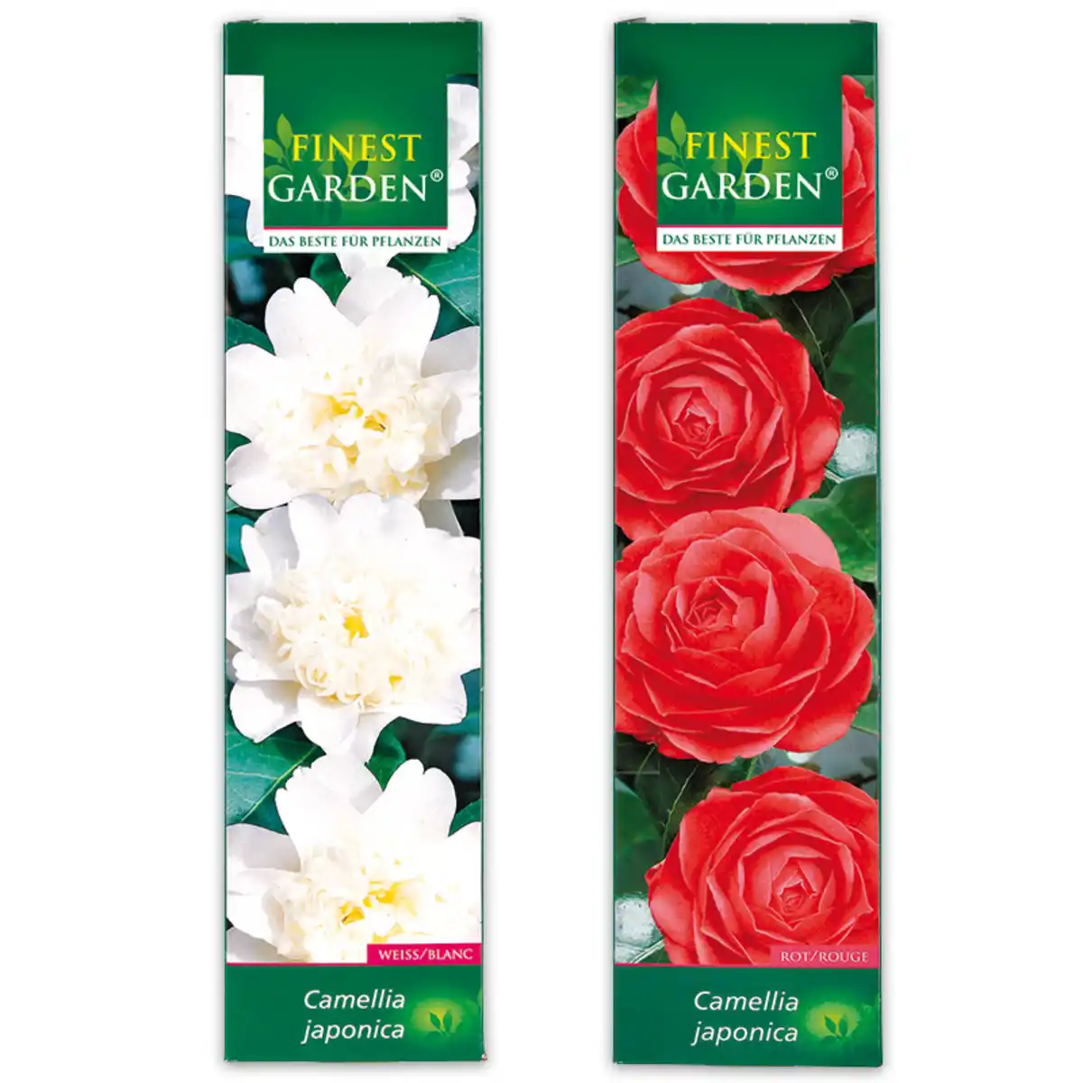 Bild 1 von Finest Garden Blühende Gartenraritäten