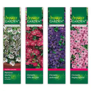 Finest Garden Winterharte Kletterpflanze