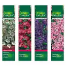 Bild 1 von Finest Garden Winterharte Kletterpflanze