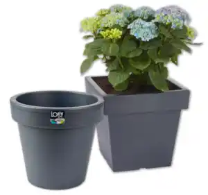 PROSPERPLAST Blumenkübel LOFLY*