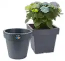 Bild 1 von PROSPERPLAST Blumenkübel LOFLY*