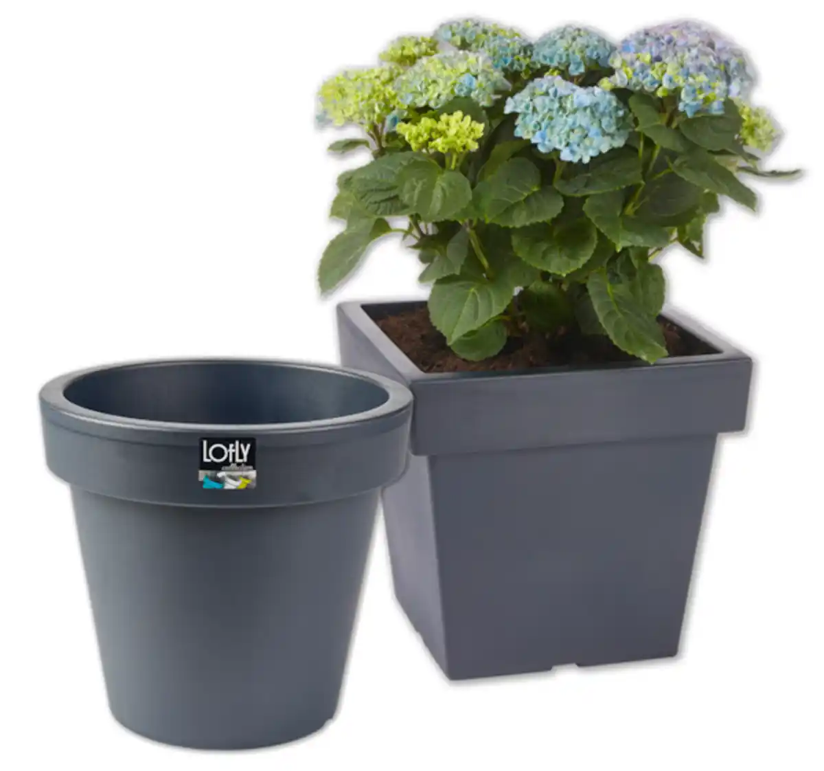 Bild 1 von PROSPERPLAST Blumenkübel LOFLY*
