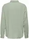 Bild 2 von JDY THEIS LIFE L/S LOOSE SHIRT WVN NOOS Bluse Grün