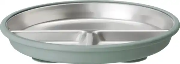 Bild 2 von IDEENWELT Edelstahlteller mit Saugnapf grün