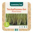 Bild 4 von GARDENLINE Teichpflanzen-Set