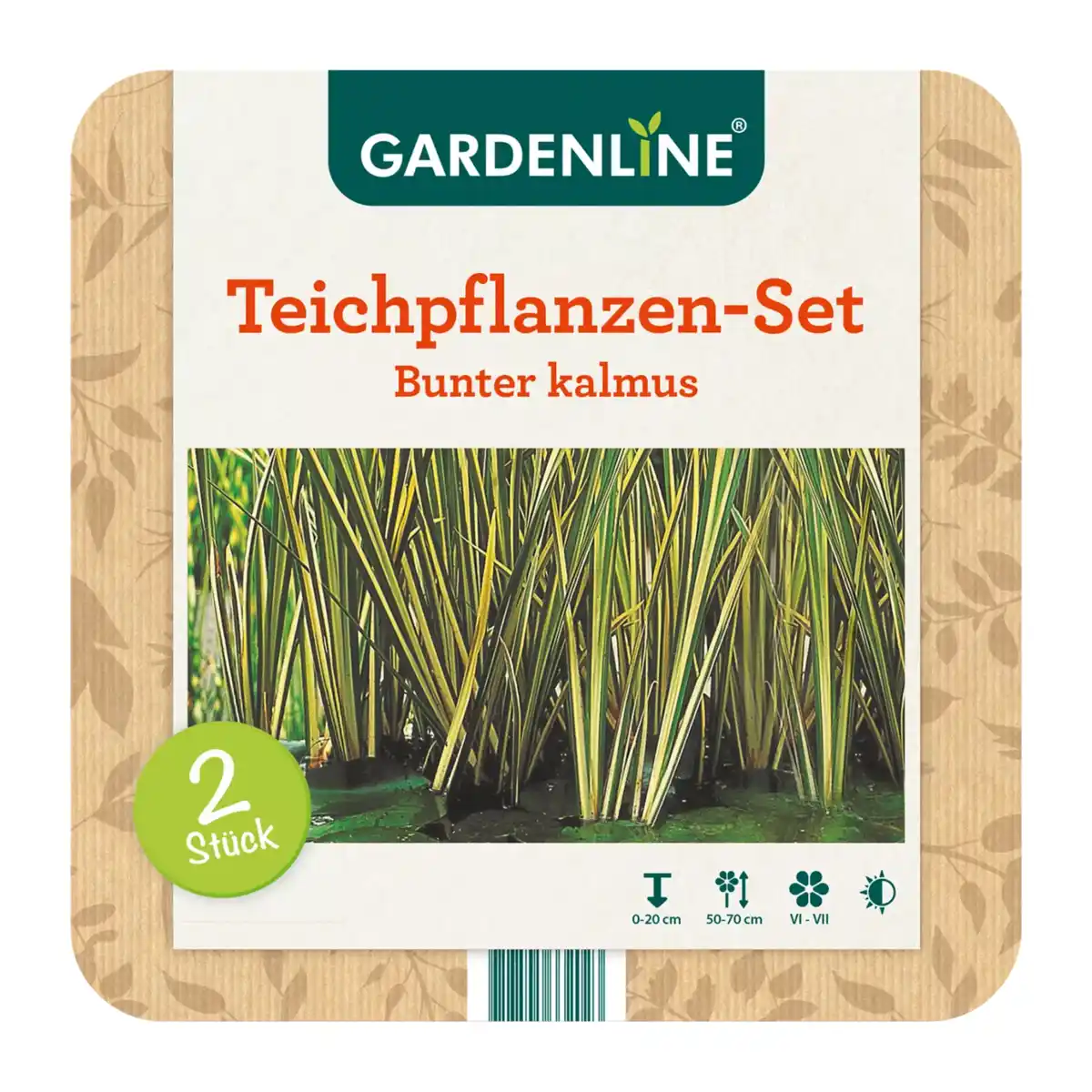 Bild 4 von GARDENLINE Teichpflanzen-Set