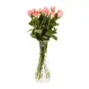 Bild 3 von GARDENLINE Rosen