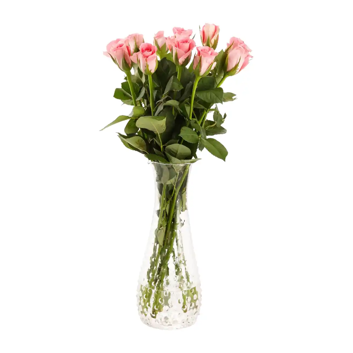 Bild 3 von GARDENLINE Rosen