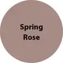 Bild 2 von RENOVO Farblasur, »Home & Garden Decor«, seidenmatt, 750 ml, spring rose