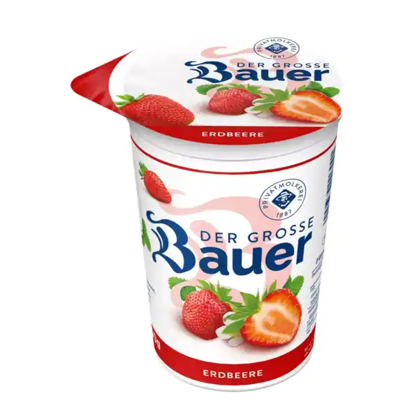 Bild 2 von BAUER Der Große Bauer