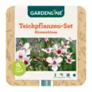 Bild 3 von GARDENLINE Teichpflanzen-Set