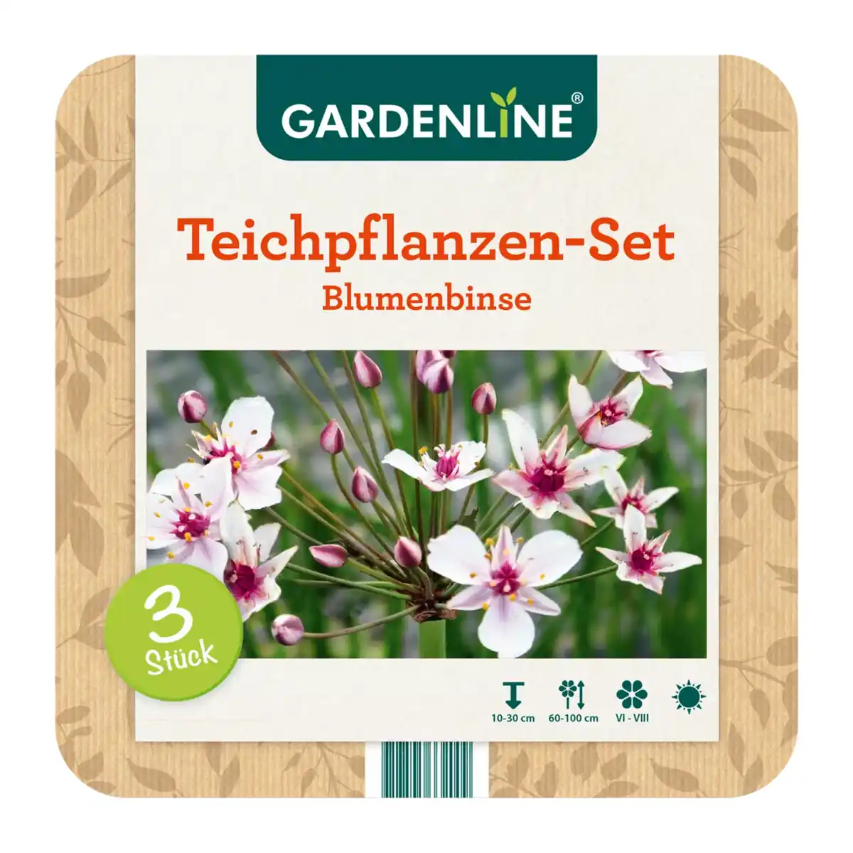 Bild 3 von GARDENLINE Teichpflanzen-Set