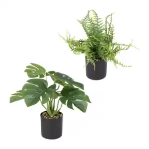 HOME CREATION Künstliche Pflanze