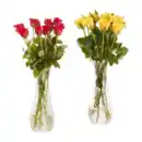 Bild 1 von GARDENLINE Rosen