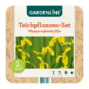 Bild 2 von GARDENLINE Teichpflanzen-Set