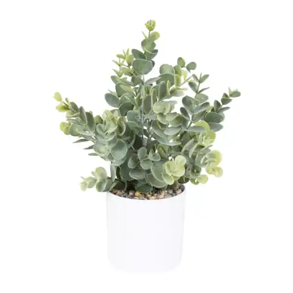 Bild 2 von HOME CREATION Künstliche Pflanze