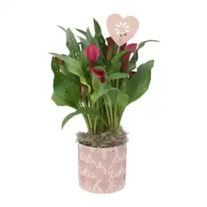 GARDENLINE Calla in Herzkeramik