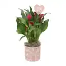 Bild 1 von GARDENLINE Calla in Herzkeramik