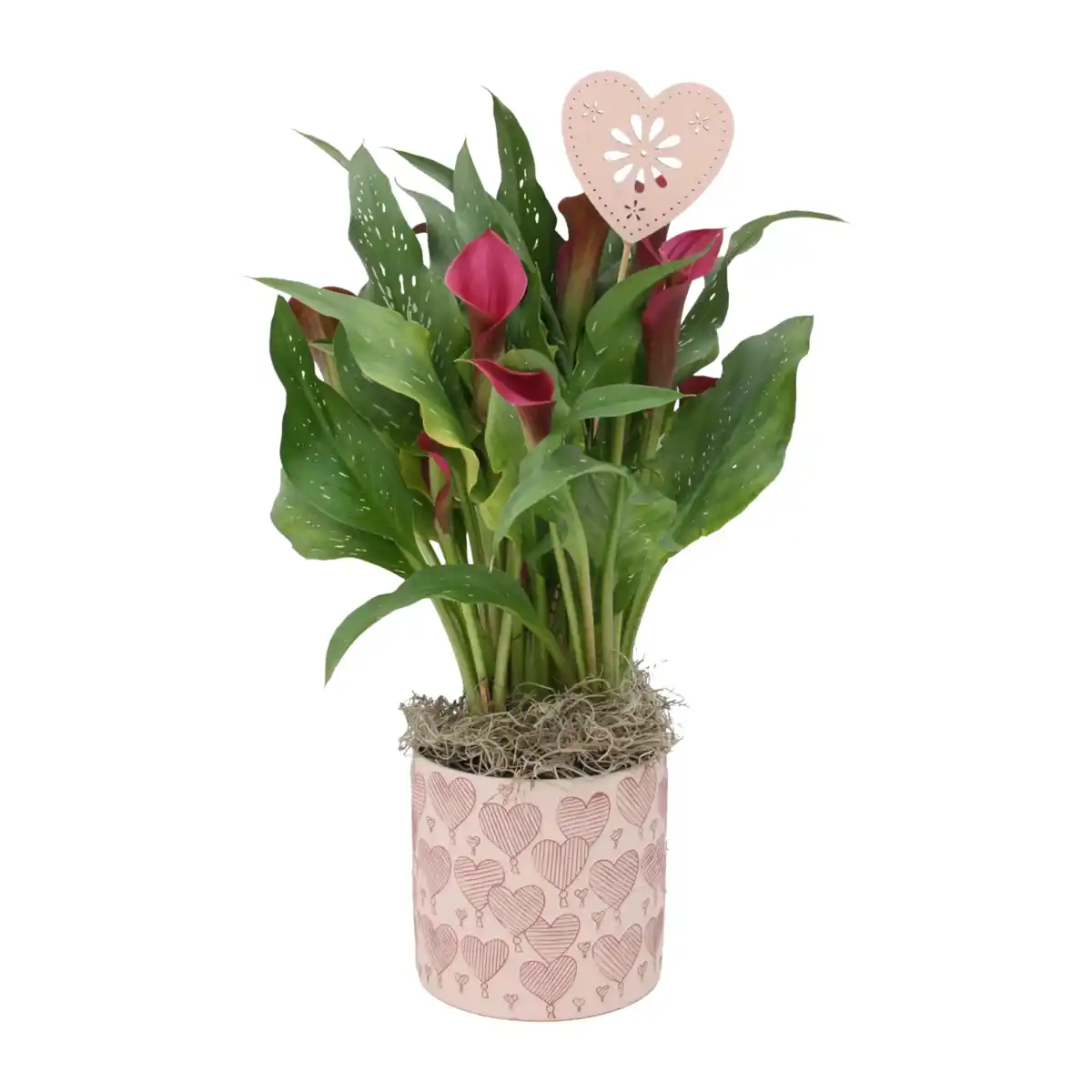 Bild 1 von GARDENLINE Calla in Herzkeramik