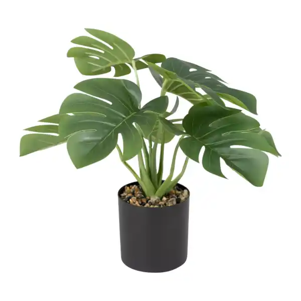 Bild 4 von HOME CREATION Künstliche Pflanze