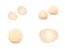 Bild 1 von LIVARNO® LED-Solarleuchte / LED-Solarleuchten,  1 x