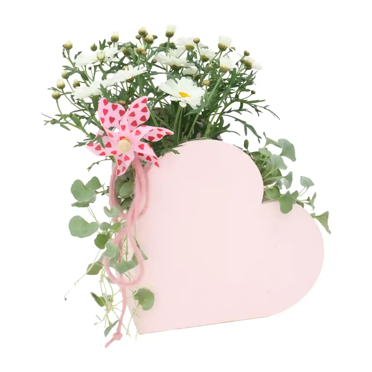 Bild 4 von GARDENLINE Muttertagspflanzen