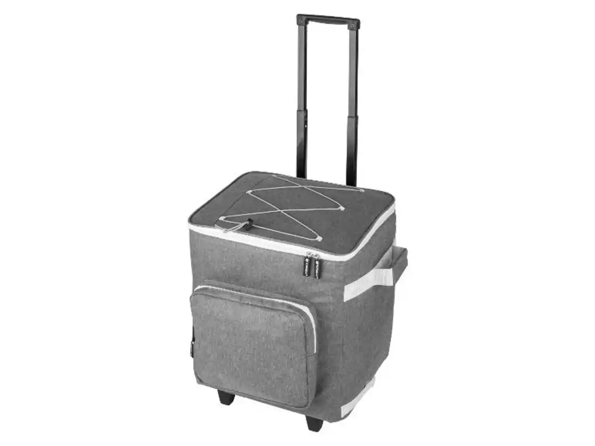 Bild 1 von TOPMOVE® Einkaufstrolley mit Kühlfunktion""