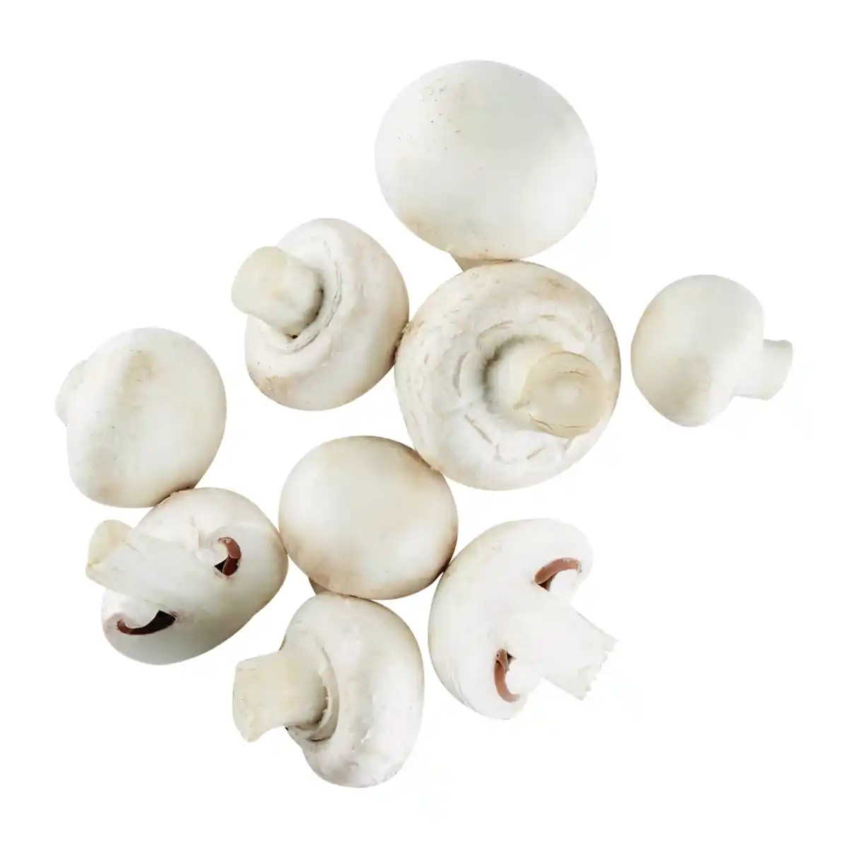 Bild 1 von Kulturchampignons weiß