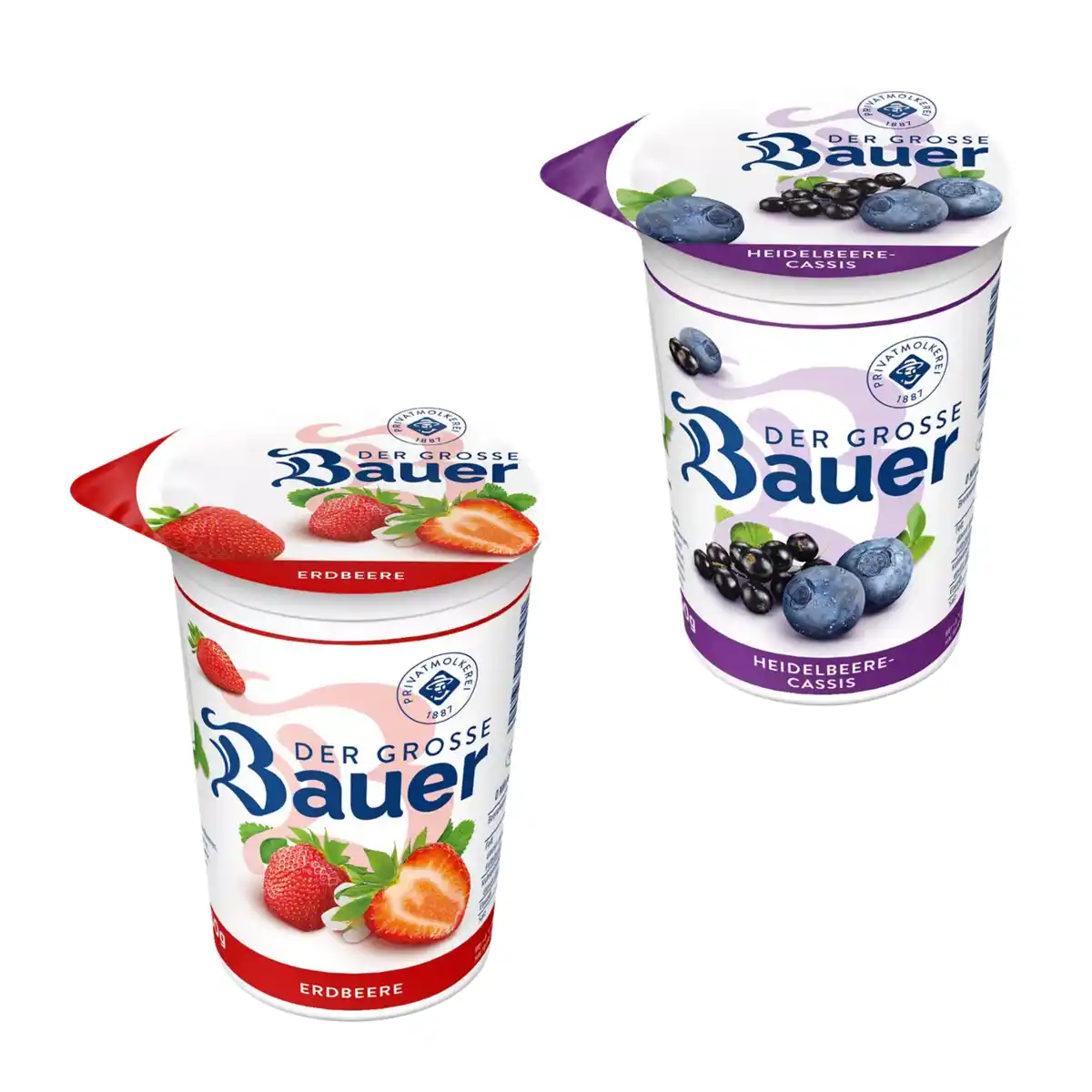 Bild 1 von BAUER Der Große Bauer