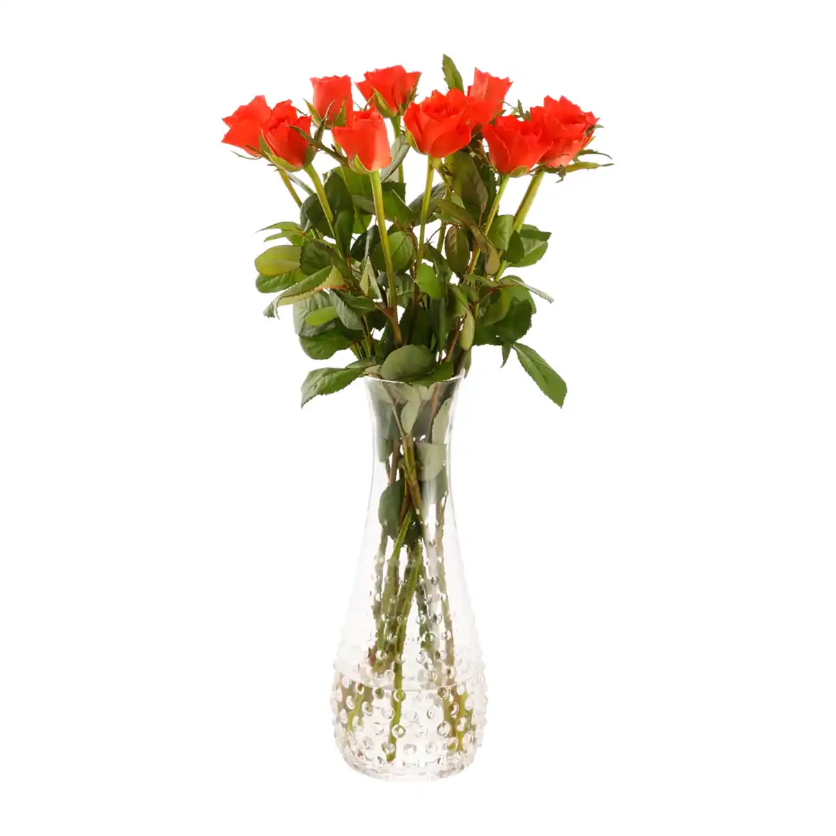 Bild 2 von GARDENLINE Rosen