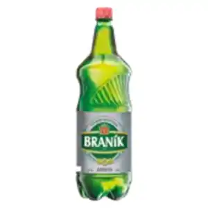 Branik