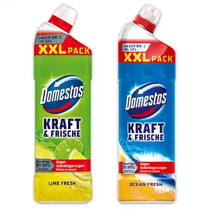 Domestos Kraft & Frische WC Gel