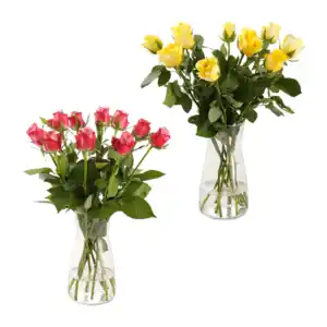 GARDENLINE Fairtrade-Rosen